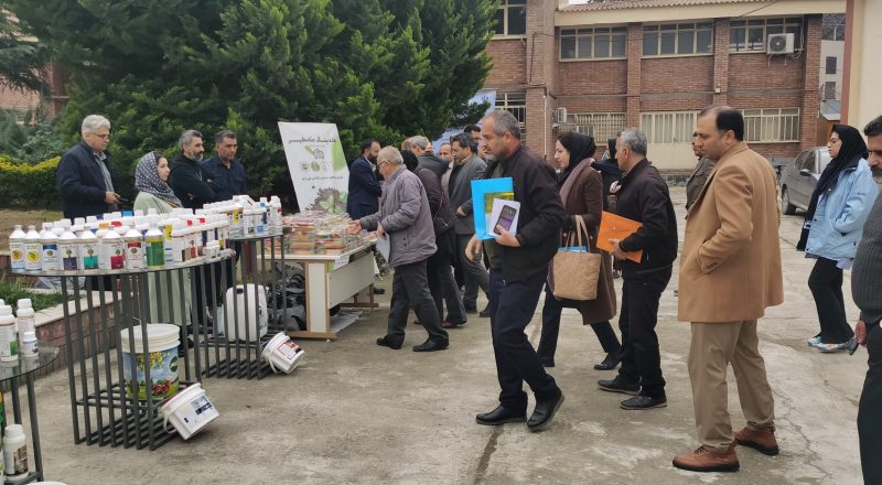 Promotional workshop for the Mazandaran Rainforest Production Leap Project