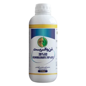 فن والریت