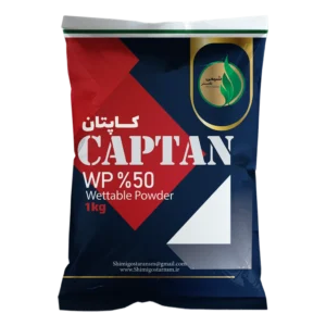 کاپتان