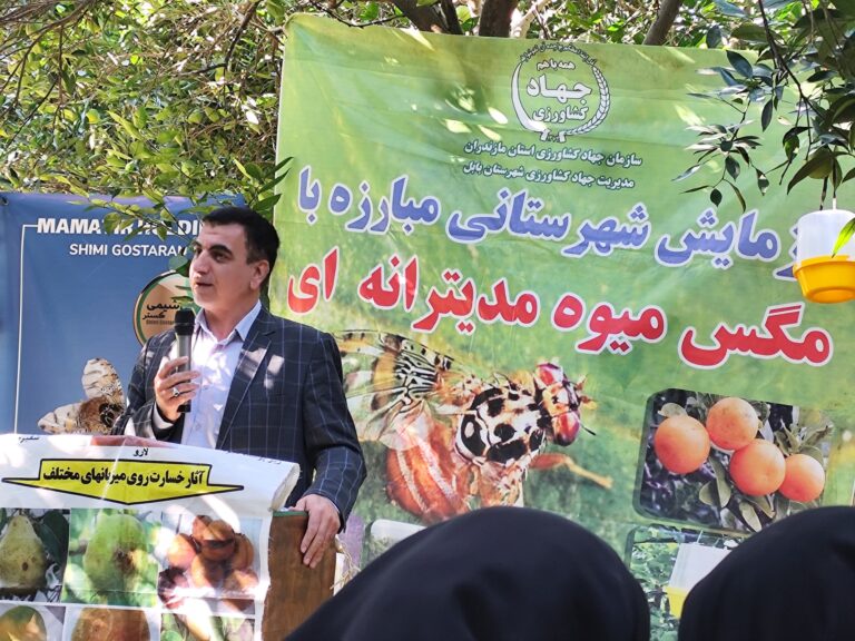 مقابله علمی با مگس میوه مدیترانه‌ای